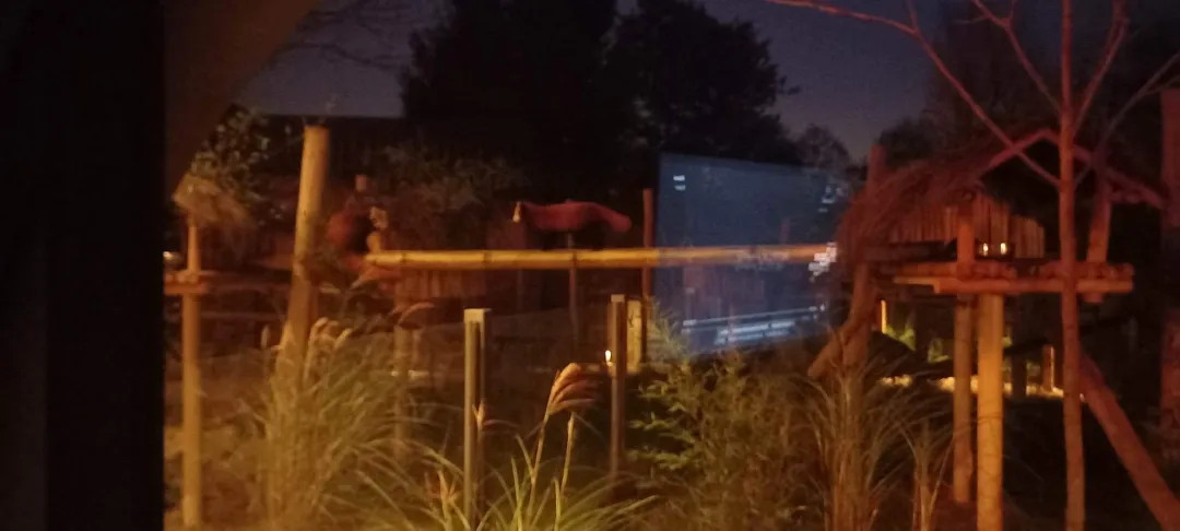 Photo from Jayne's Baby Bank (older photos)