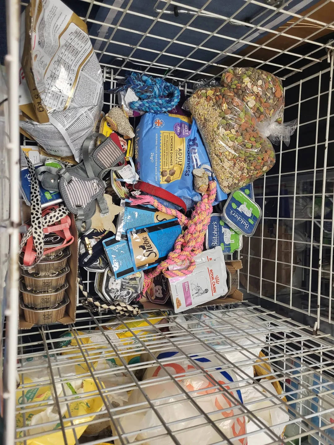 Photo from Jayne's Baby Bank (older photos), 18 Nov 2024