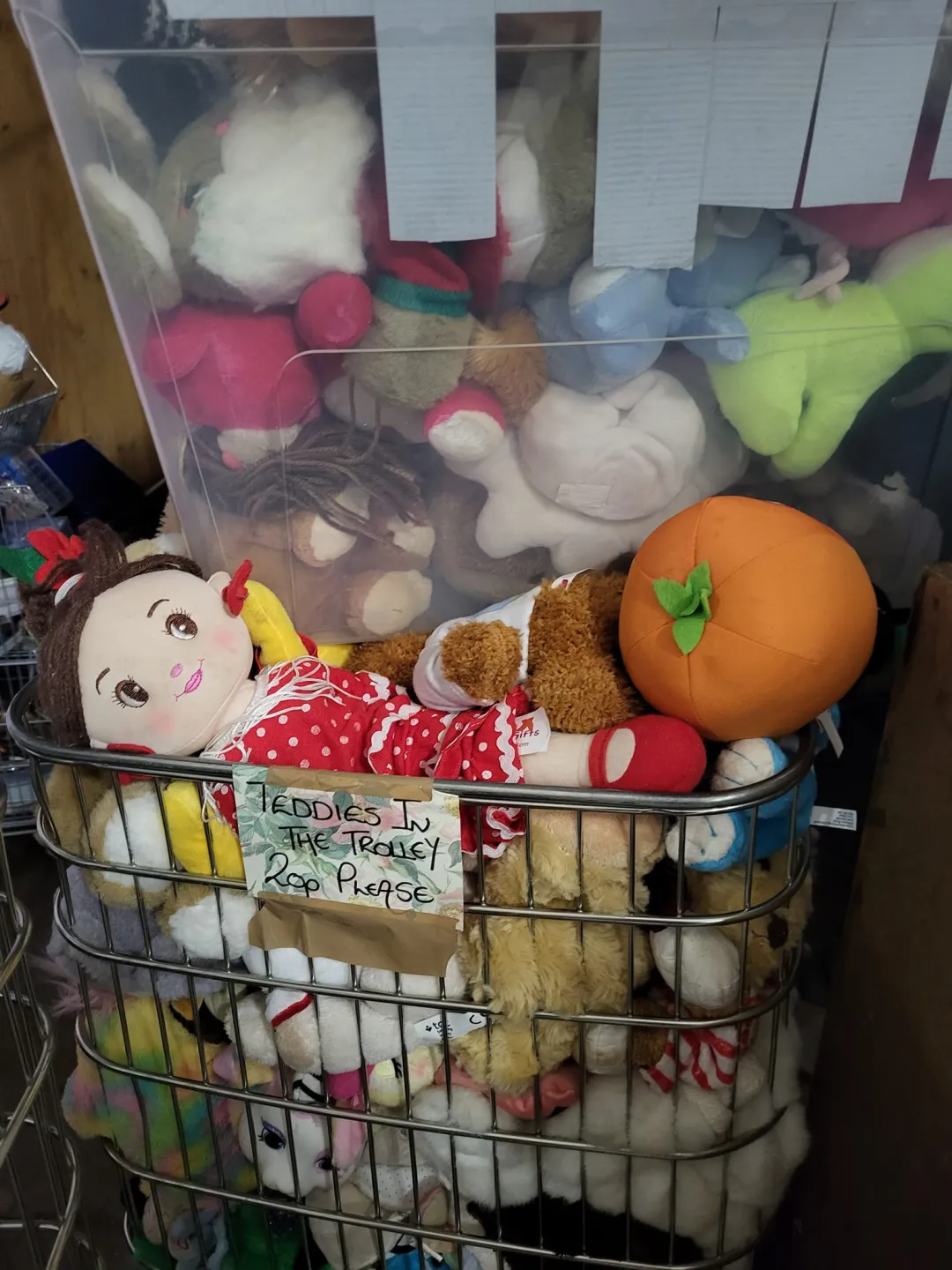 Photo from Jayne's Baby Bank (older photos)