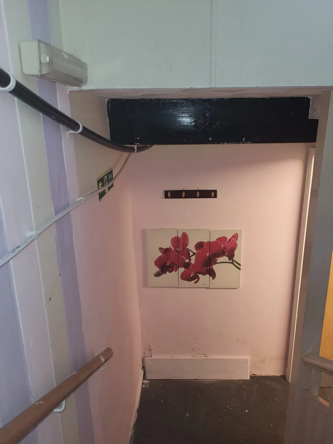 Photo from Jayne's Baby Bank (older photos)
