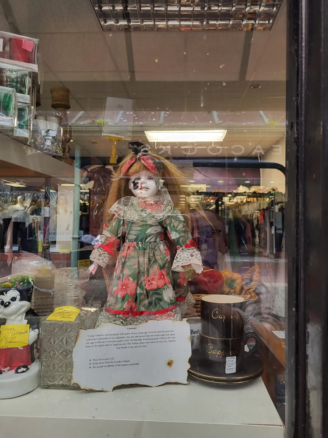 Photo from Jayne's Baby Bank (main page), 30 Sep 2024: Blackwood shop is haunted by creepy dolls! £10 each please fundraising is ringfenced for a baby food foodbank shop These are not toys We acc