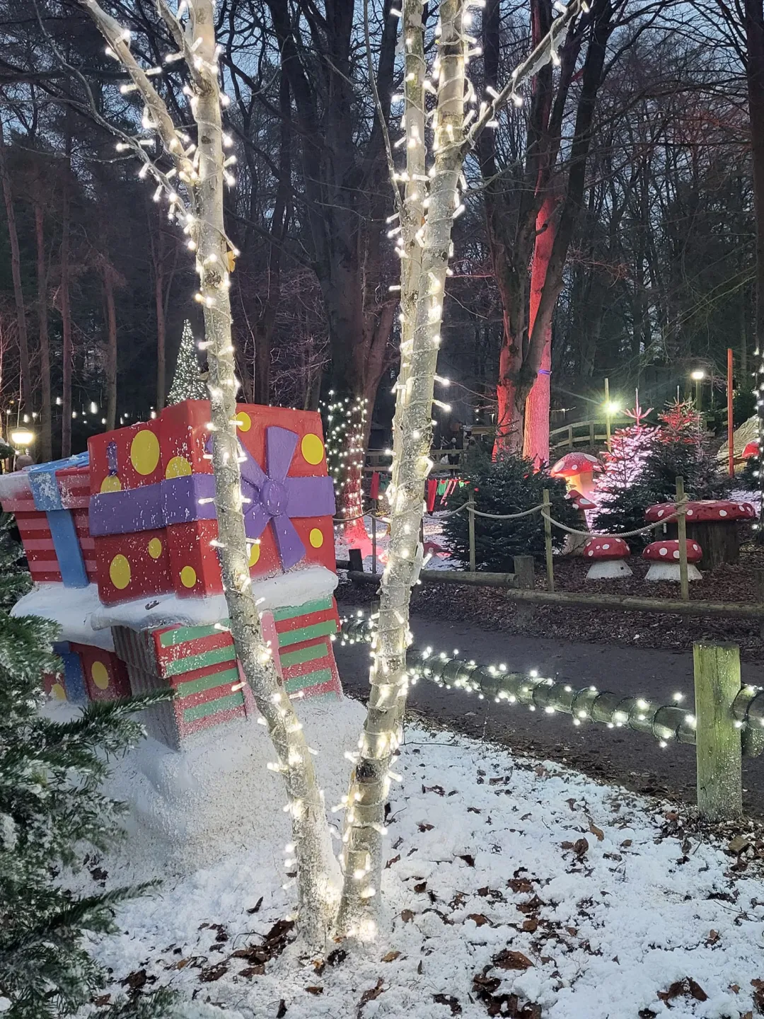 Photo from Jayne's Baby Bank (main page), 27 Dec 2023: Christmas 2023