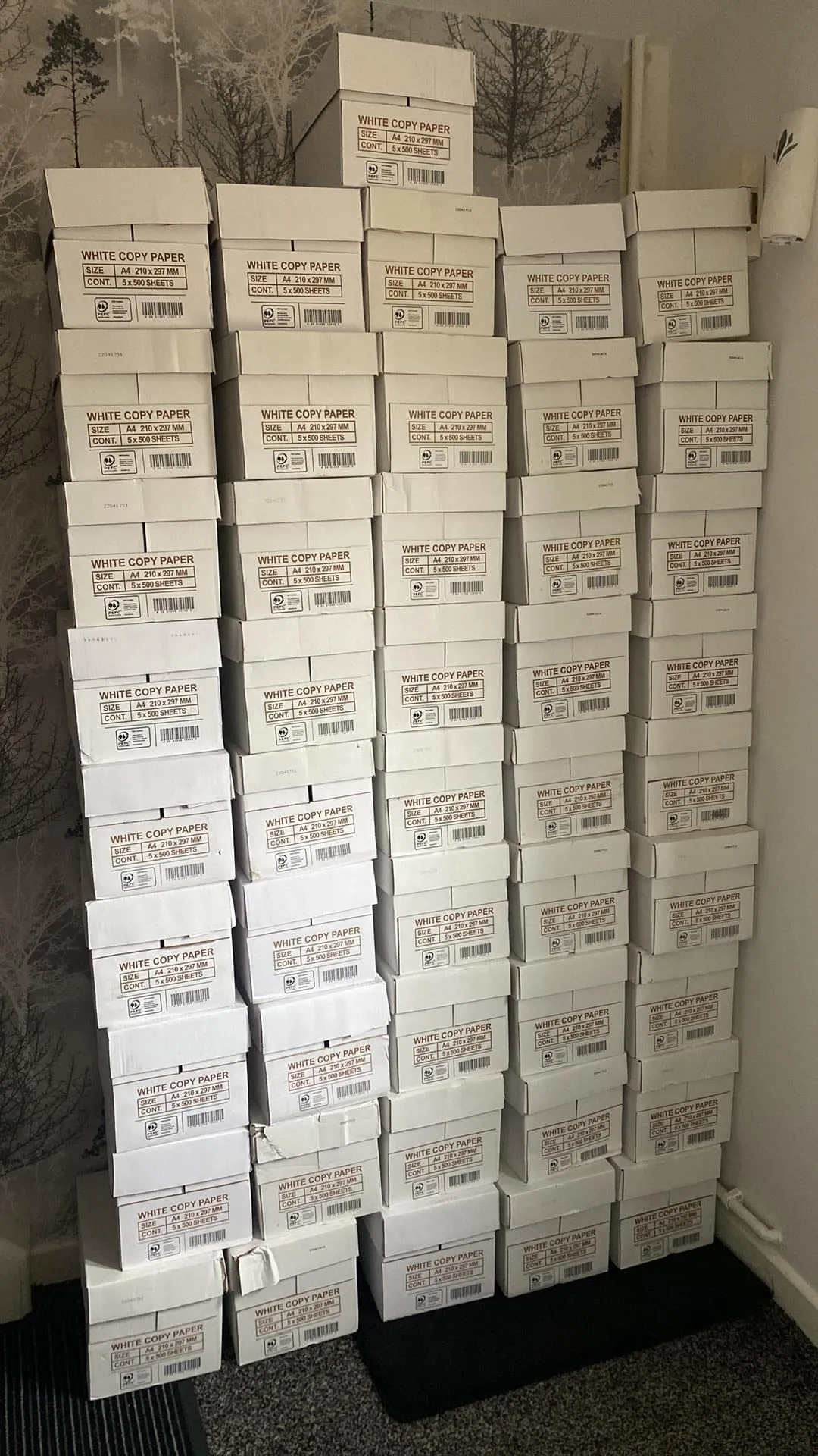 Photo from Jayne's Baby Bank (main page), 1 Mar 2024: Hi is anyone able to donate photocopying boxes with lids please for our prem box and 0-12 bundles that we gift out for free please