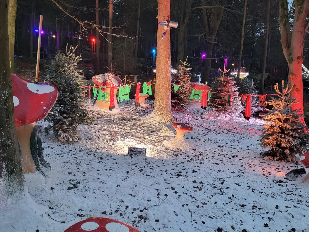 Photo from Jayne's Baby Bank (main page), 27 Dec 2023: Christmas 2023
