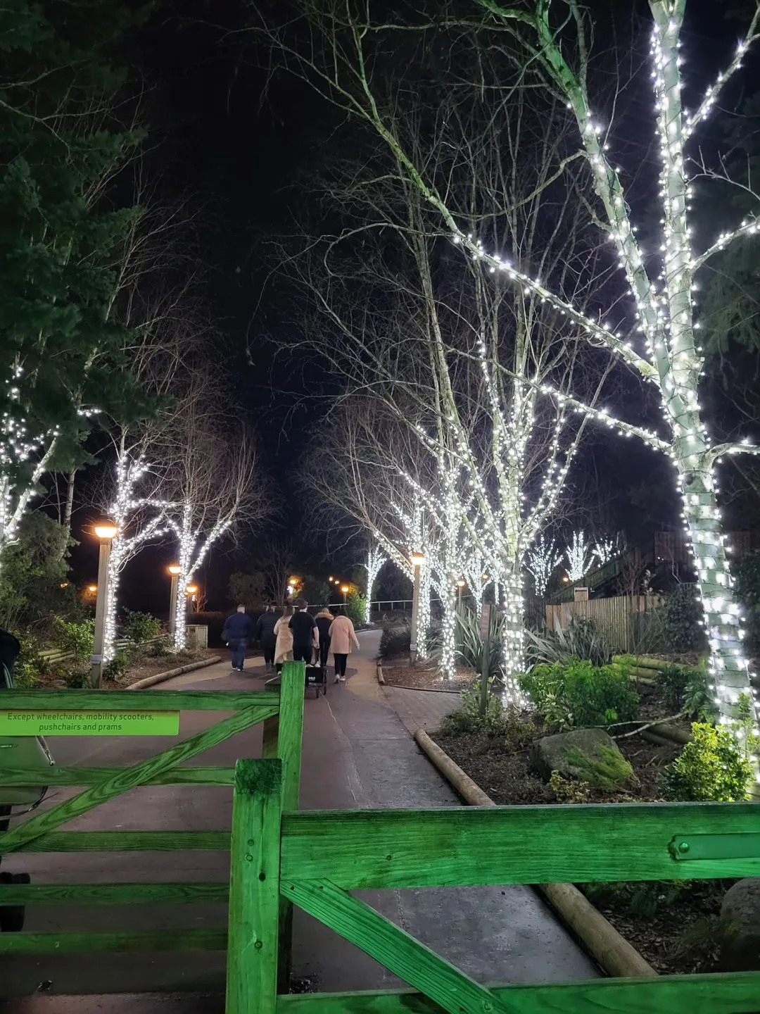 Photo from Jayne's Baby Bank (main page), 27 Dec 2023: Christmas 2023
