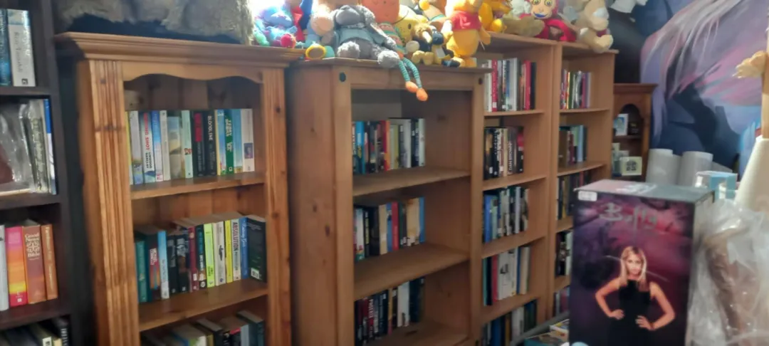 Photo from Jayne's Baby Bank (main page), 11 Mar 2025: Dawn our book manager has been in again today. The assignment was - make it look like Waterstones for my book customers. I think she has ach