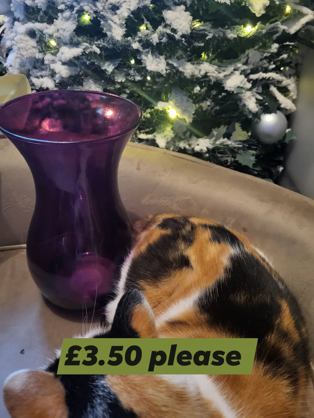 Photo from Jayne's Baby Bank (main page), 21 Dec 2025
