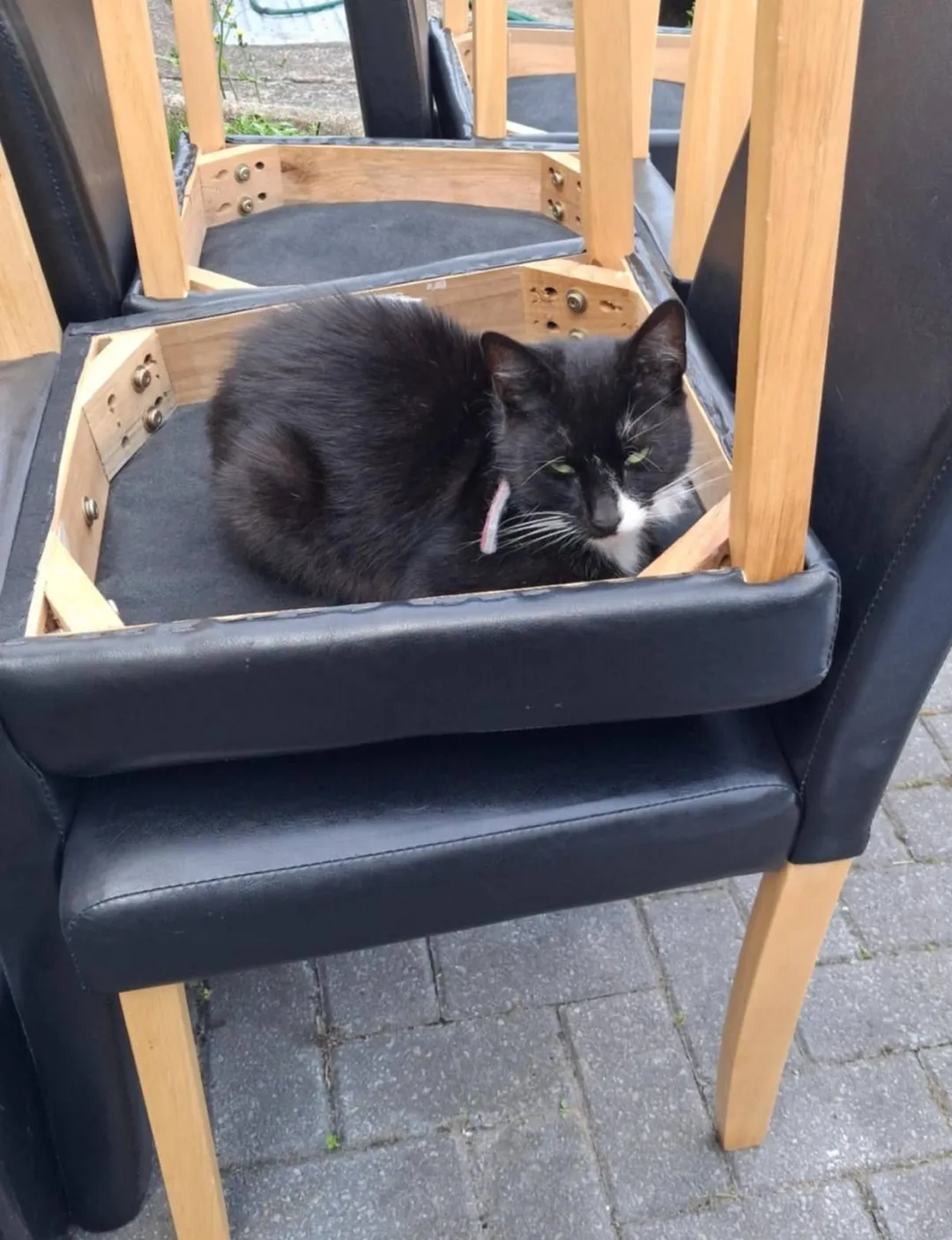 Photo from Jayne's Baby Bank (main page), 10 Aug 2025: The team product testing this week! Yes we take furniture if you can drop off to the SHOPS . No stained, damaged items , nothing bigger than