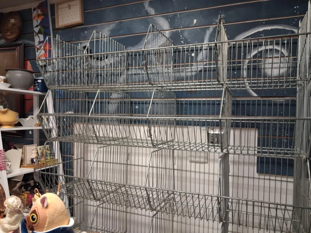 Photo from Jayne's Baby Bank (main page), 15 Dec 2025: Dan's been busy today at Cosmic Caerphilly thank you to Valley Pet & Angling