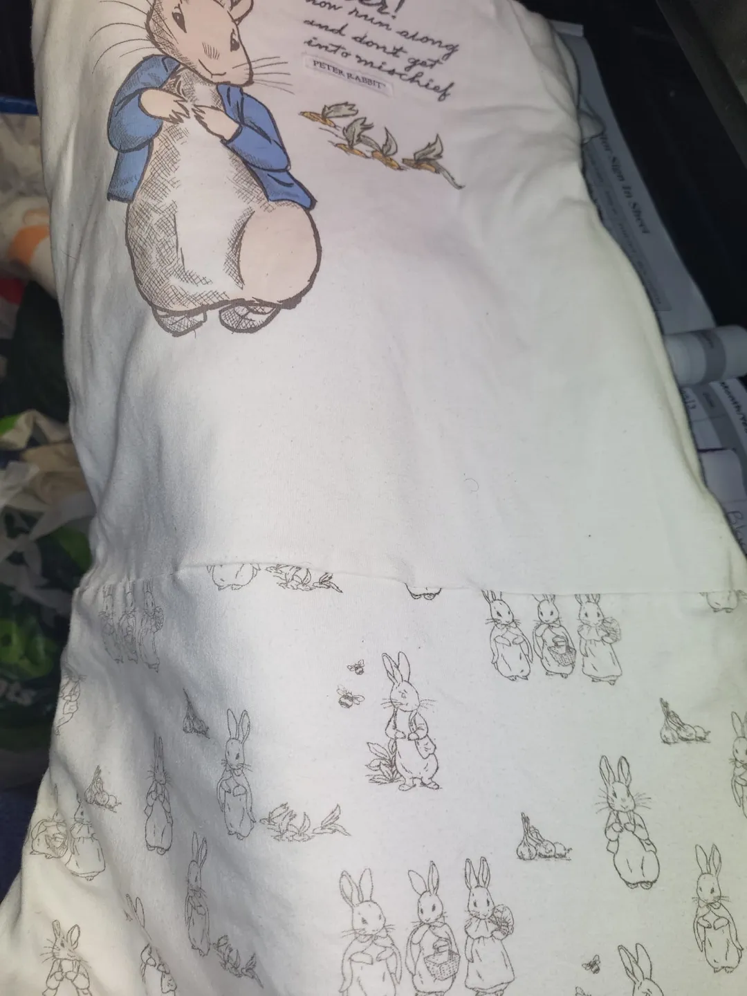 Photo from Jayne's Baby Bank (main page), 27 Mar 2024: 6-12 months Peter rabbit sleep shuit £3.50 please Blackwood shop