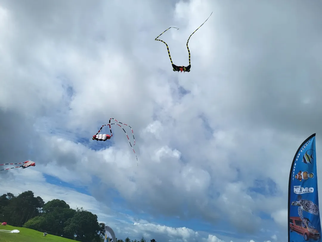 Photo from Jayne's Baby Bank (main page), 27 May 2024: Kiting with Roy & Helen