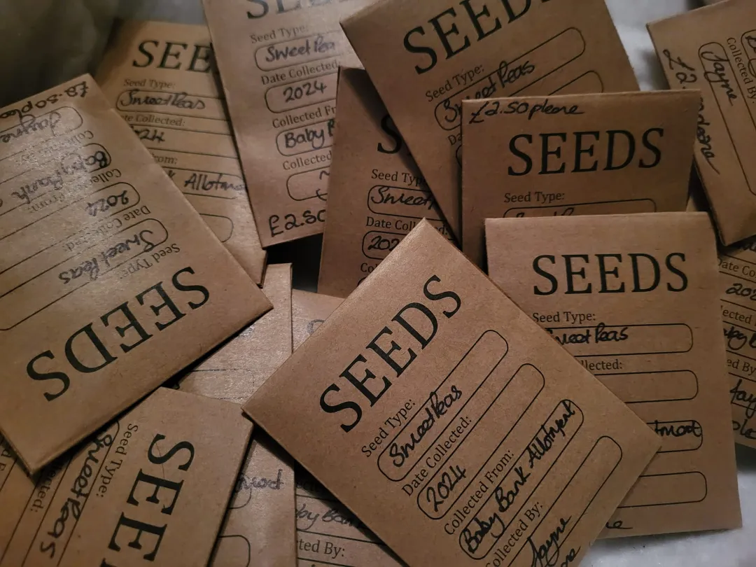 Photo from Jayne's Baby Bank (main page), 24 Nov 2024: Little announcement - our first batch of seeds from our alotment in Risca have been harvested and packaged ready to start our new gardening 