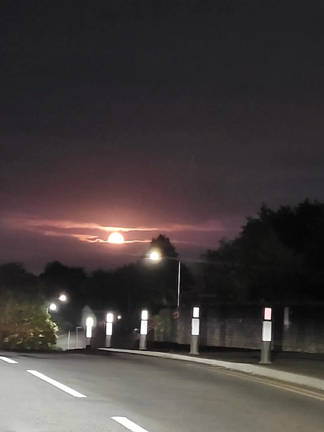 Photo from Jayne's Baby Bank (main page), 21 Jul 2024: STOP! look at the 🌙 moon