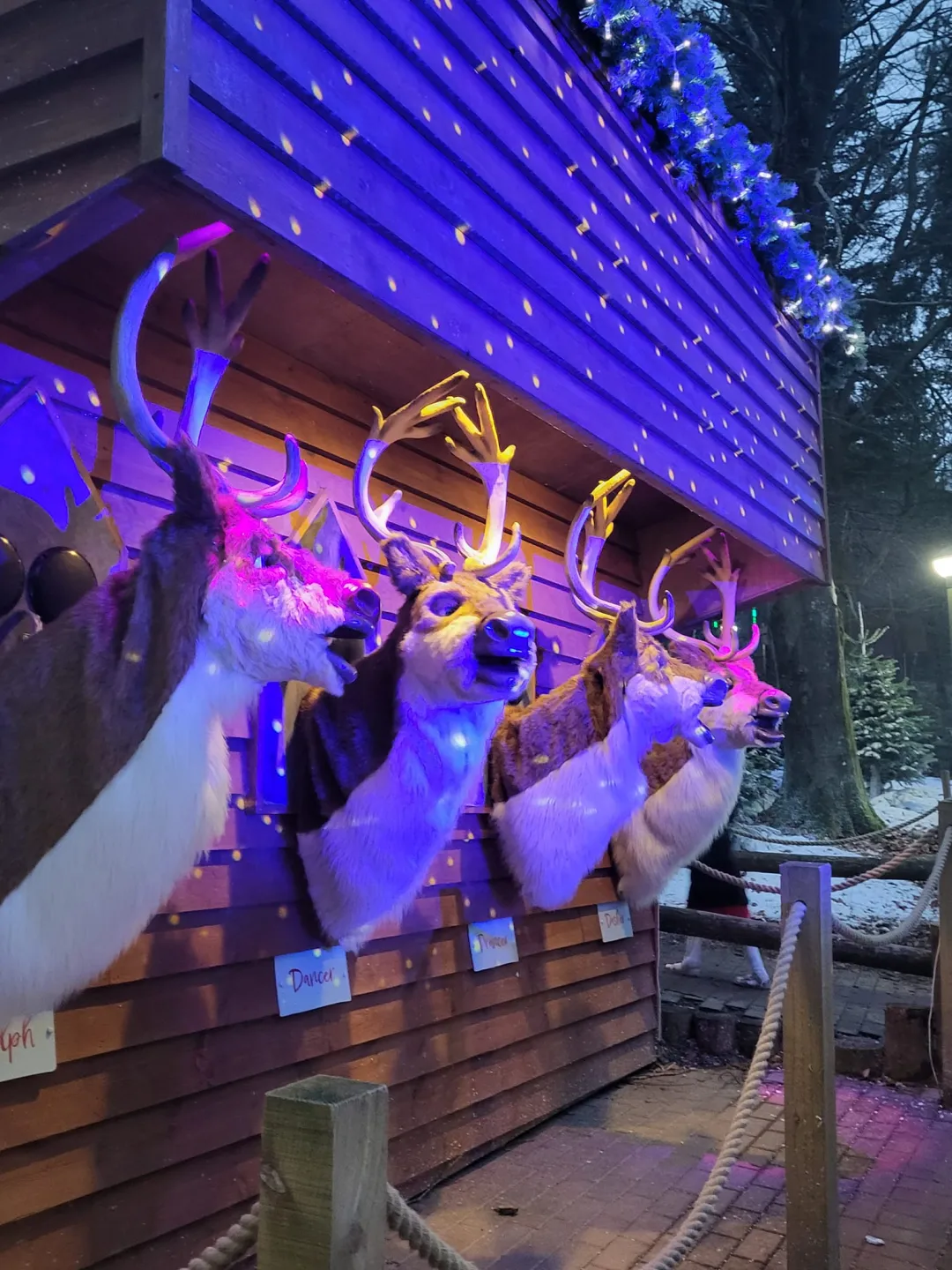 Photo from Jayne's Baby Bank (main page), 27 Dec 2023: Projects we saw on holiday for Roy to build! 🤣🙈🙏(please)