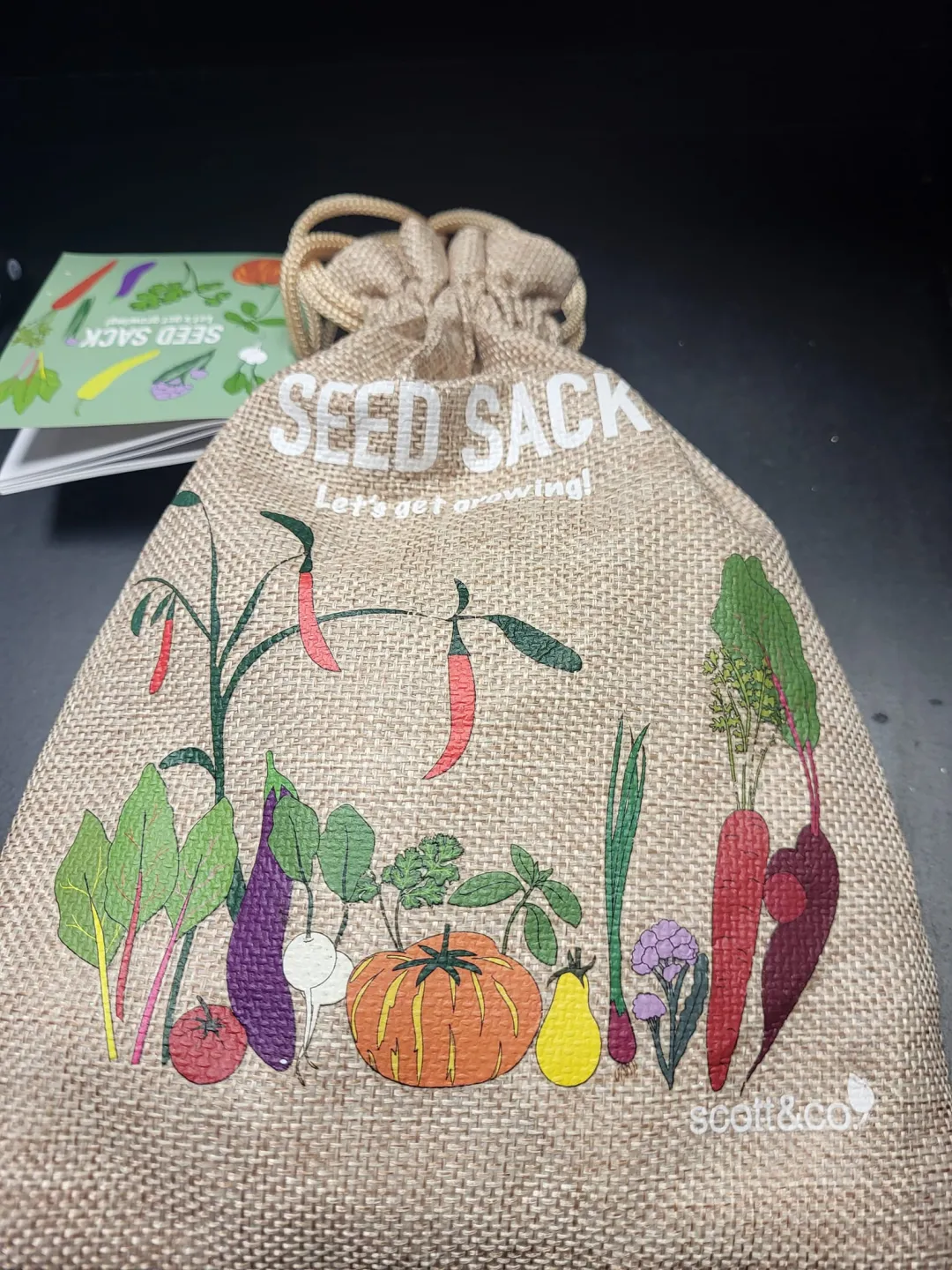 Photo from Jayne's Baby Bank (main page), 27 Mar 2024: £10 please over 25 packs of seeds Inside. New Blackwood shop