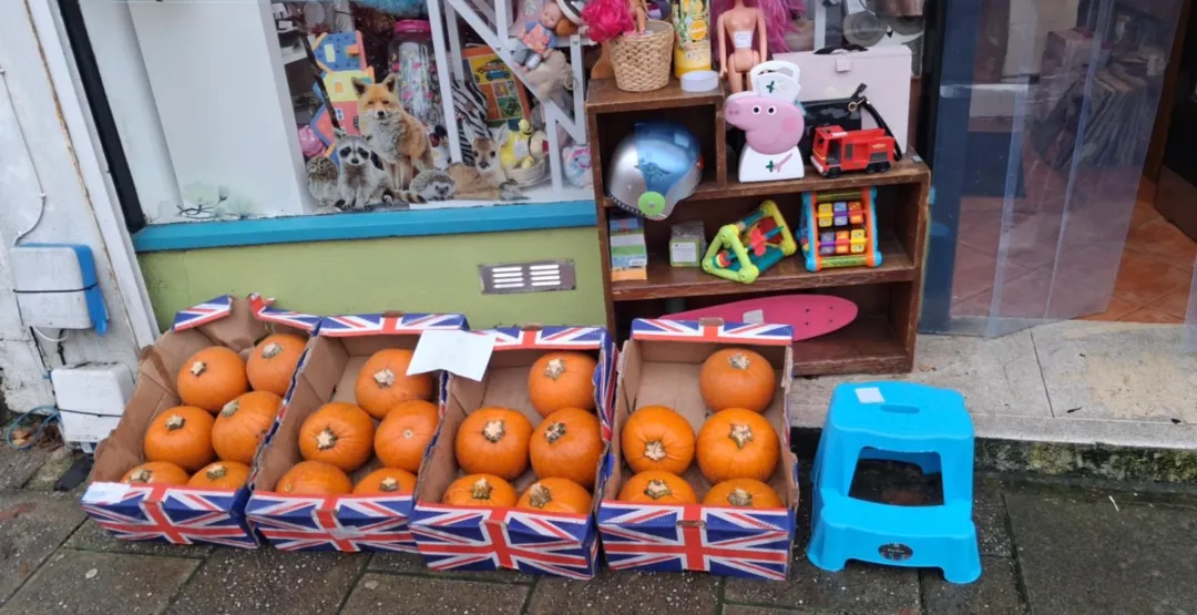 Photo from Jayne's Baby Bank (main page), 10 Nov 2025: RISCA ROO - pop in and see Dan I've told him to give you a deal. Free pumpkins - closing at 3pm ish - only open Monday and Friday this week 