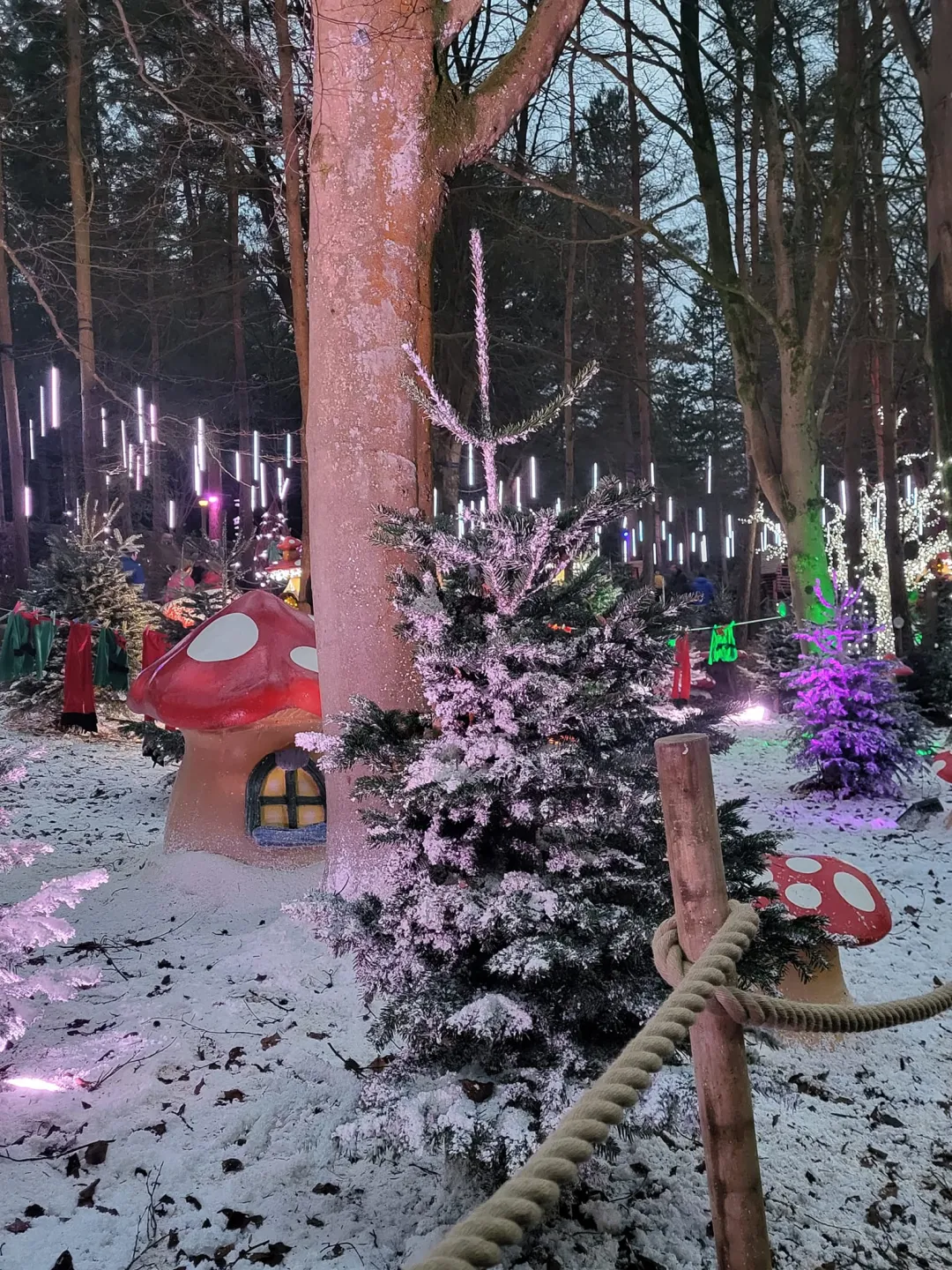 Photo from Jayne's Baby Bank (main page), 27 Dec 2023: Christmas 2023