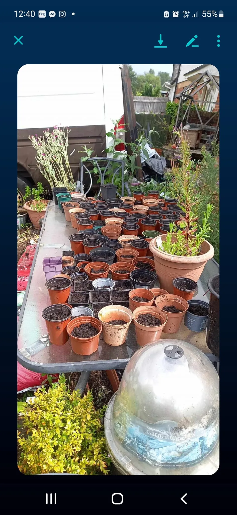 Photo from Jayne's Baby Bank (main page), 17 Jul 2024: Sunflowers are available for the children . Collection only.