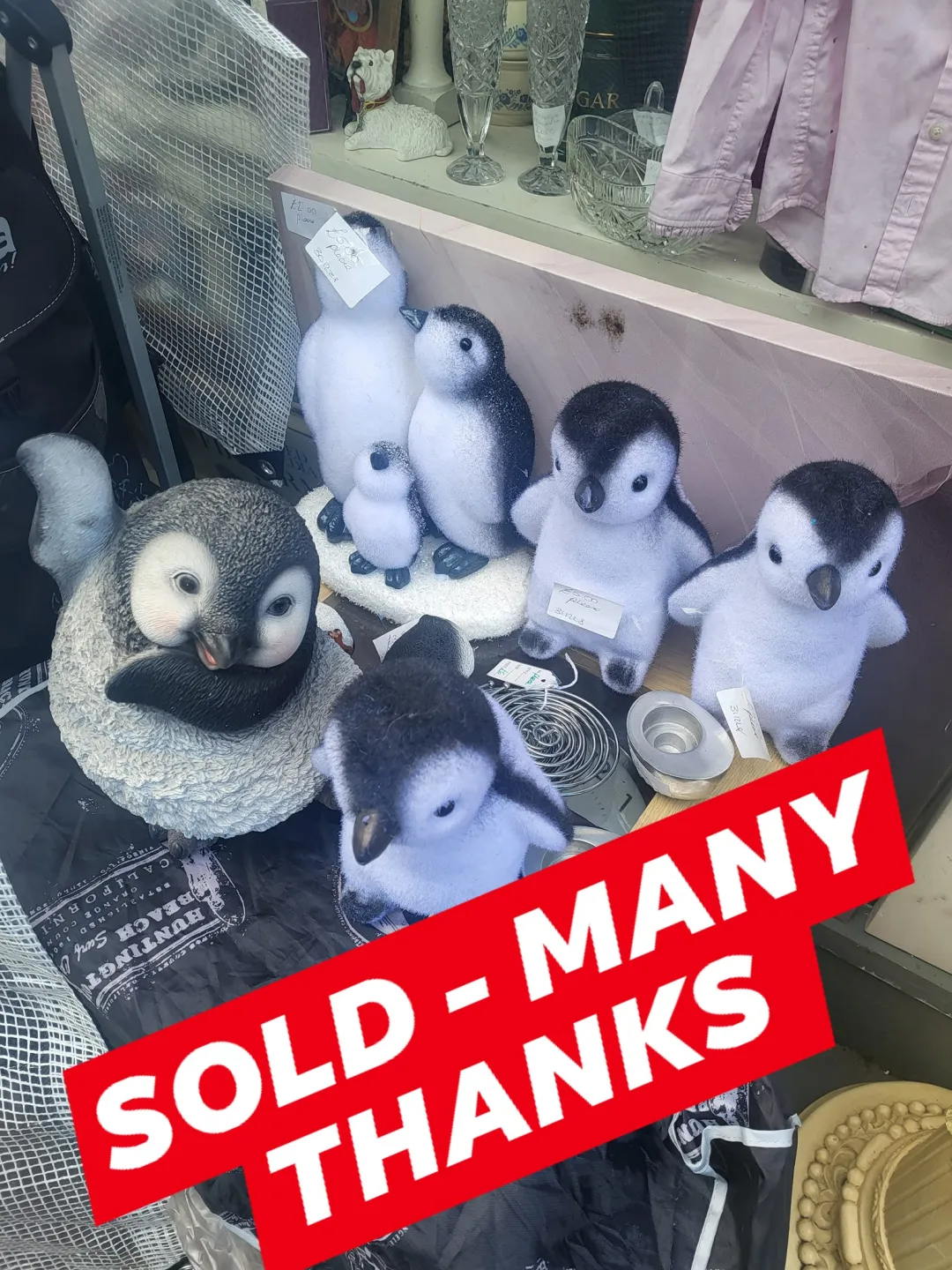 Photo from Jayne's Baby Bank (main page), 21 Oct 2025: Penguin family rehomed £14 for all and a free penguin and a raffle ticket for £20 voucher draw