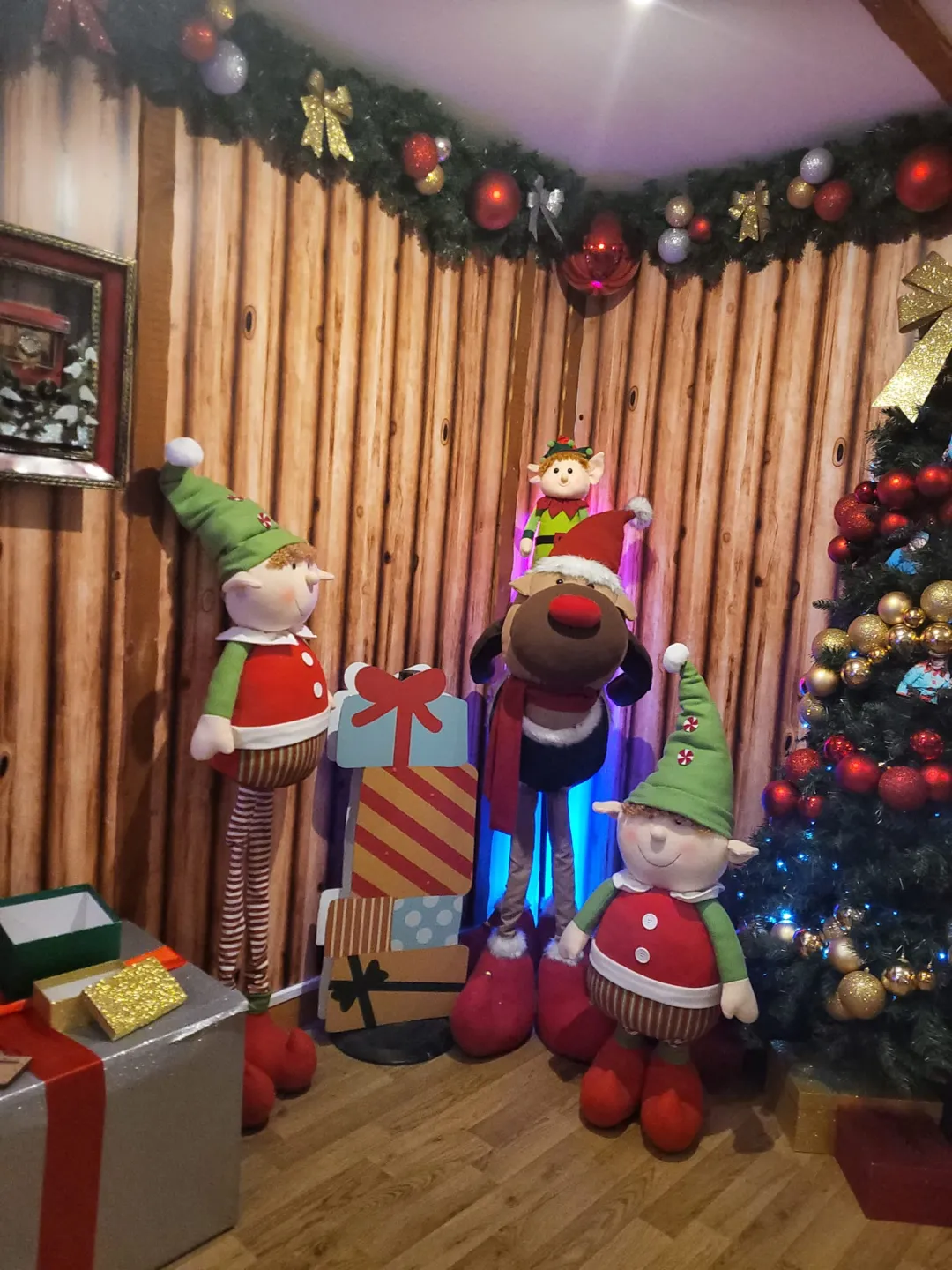 Photo from Jayne's Baby Bank (main page), 27 Dec 2023: Christmas 2023