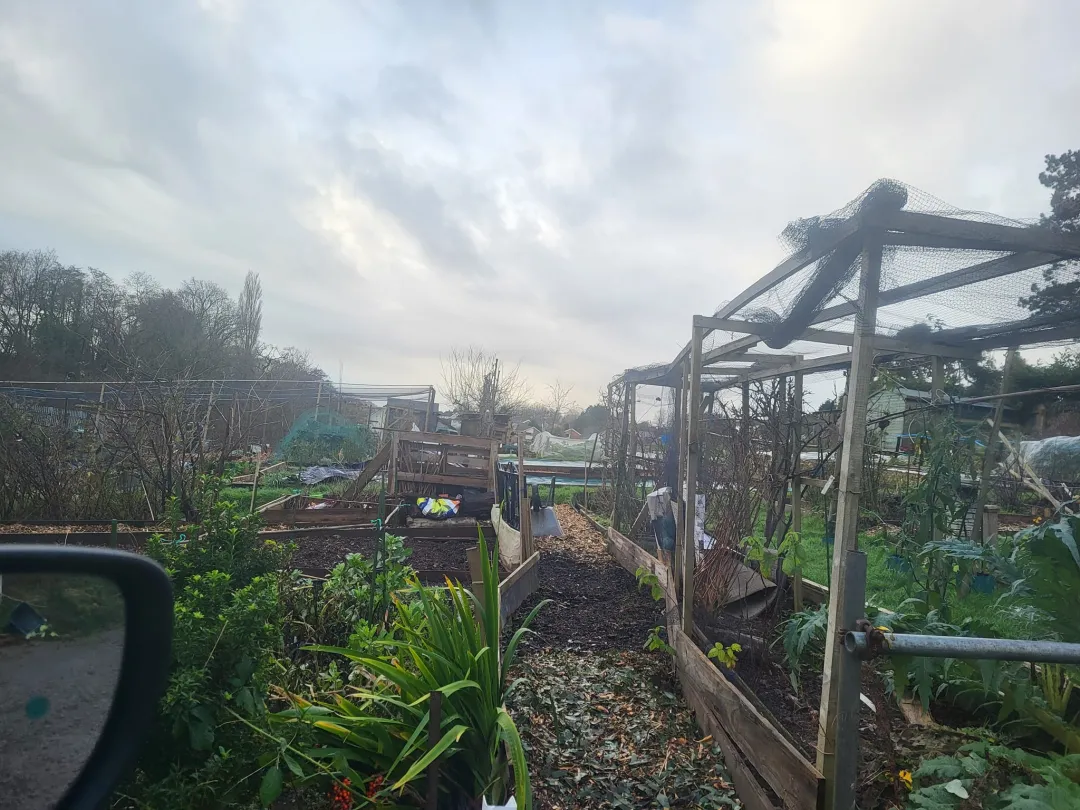 Photo from Jayne's Baby Bank (main page), 1 Jan 2024: Happy New Year Everyone- we are helping Carl on his alotment. We are looking for volunteers to help him with this allotment and we havea pri