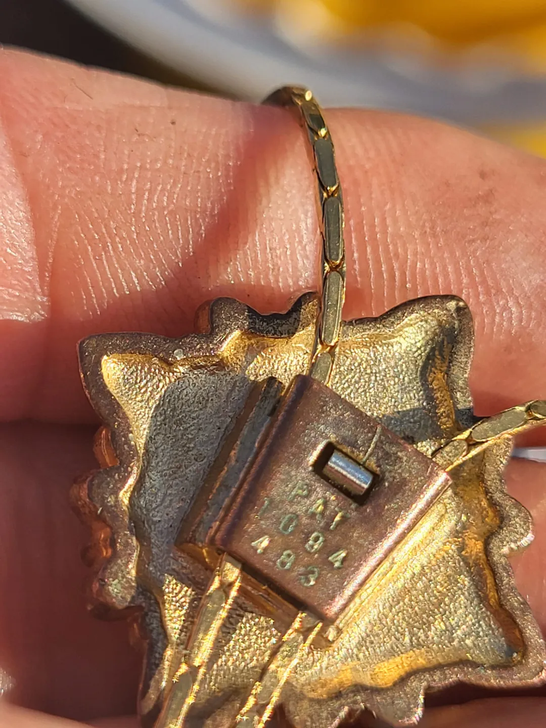Photo from Jayne's Baby Bank (main page), 9 Jun 2024: Can anyone make out the markings on this guys - thanks