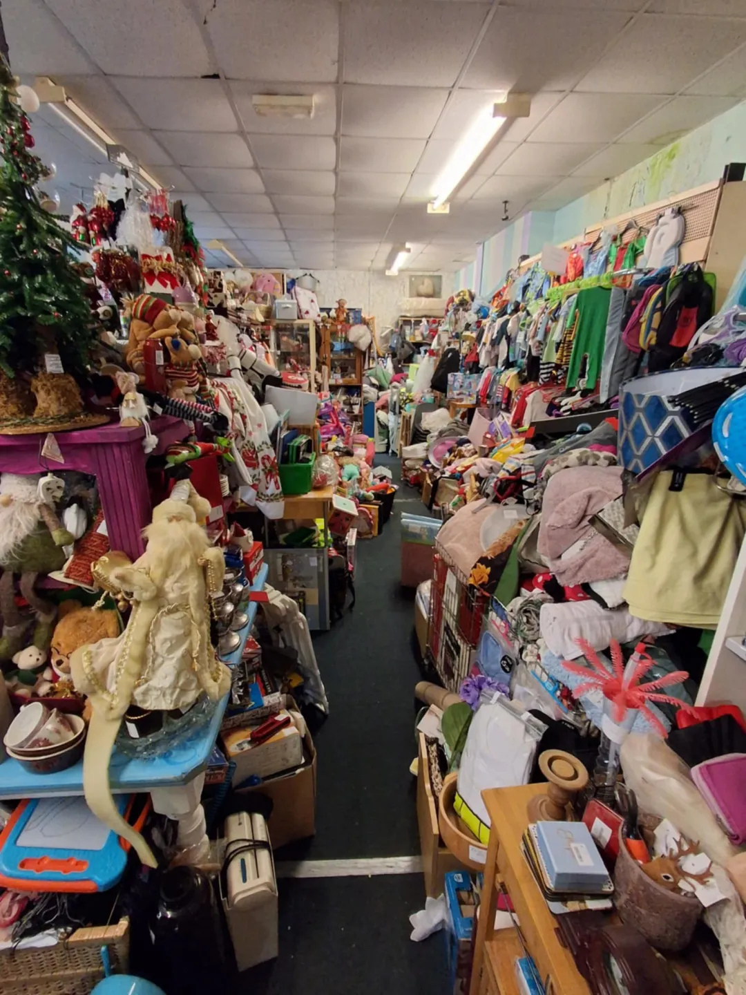 Photo from Jayne's Baby Bank (main page), 12 Nov 2025