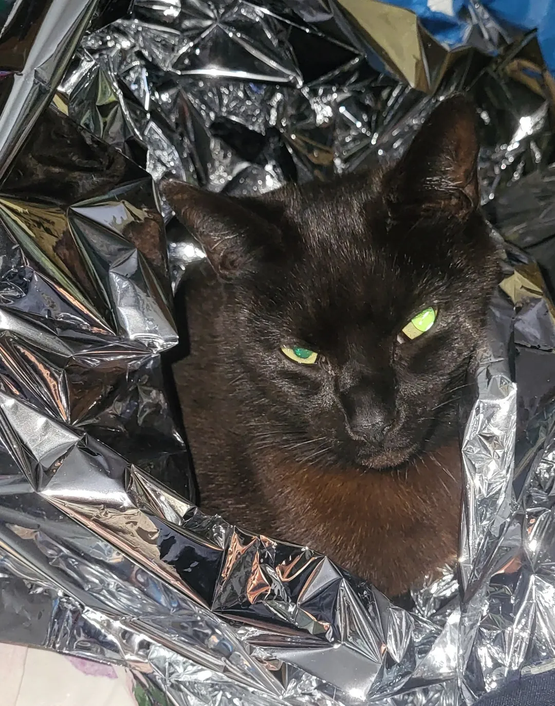 Photo from Jayne's Baby Bank (main page), 4 Nov 2025: Ronnie demonstrating the effectiveness of the foil blankets keeping families warm