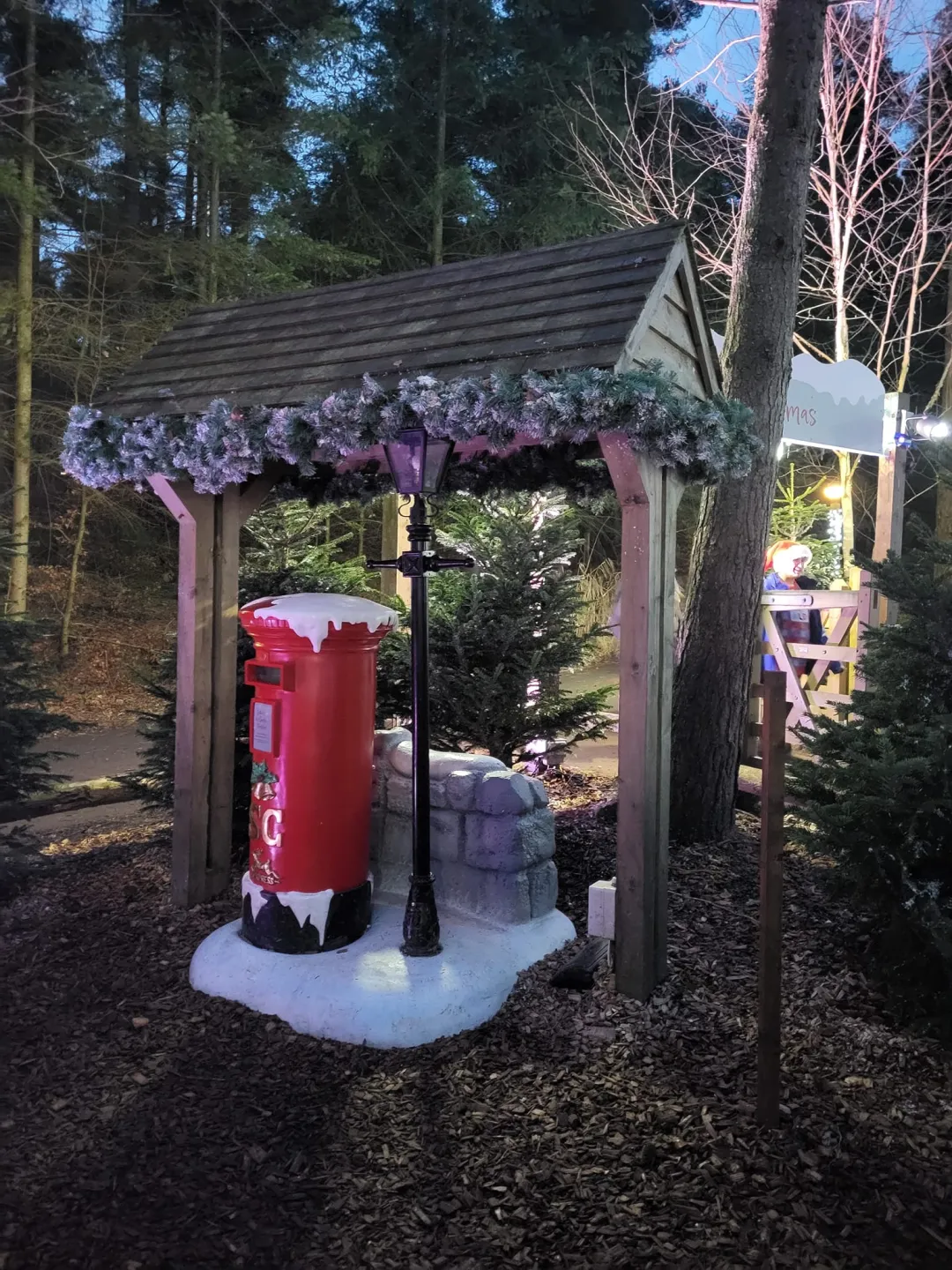 Photo from Jayne's Baby Bank (main page), 27 Dec 2023: Christmas 2023