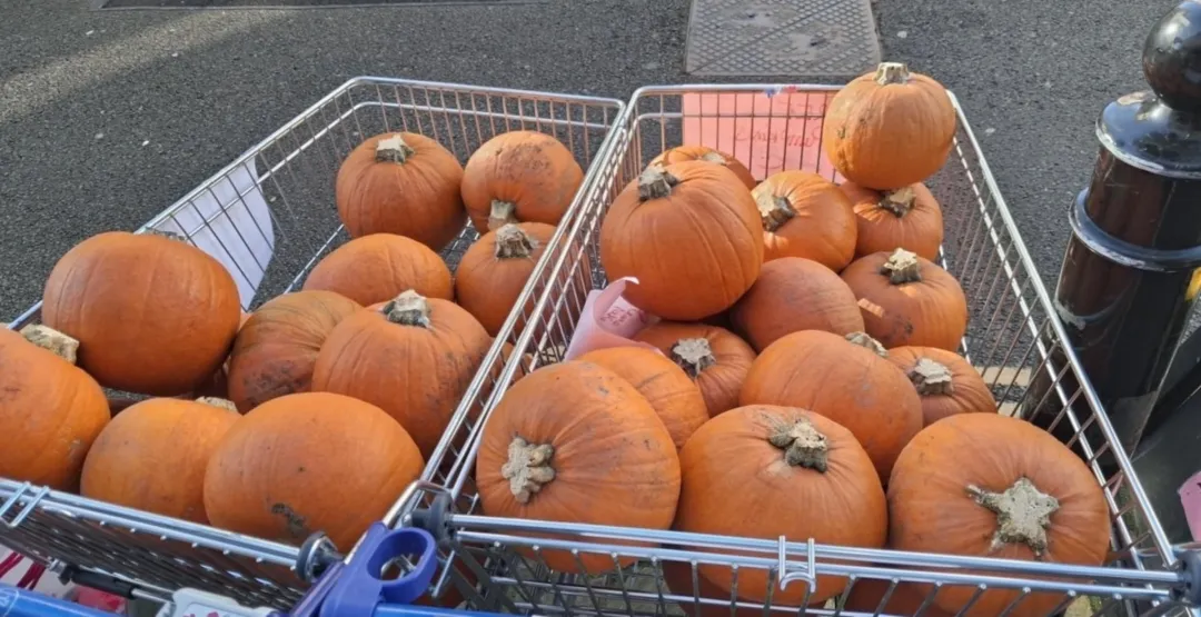 Photo from Jayne's Baby Bank (main page), 8 Nov 2025: Dan has about 20 pumpkins left at Pontypool shop! And one has got a job with the council