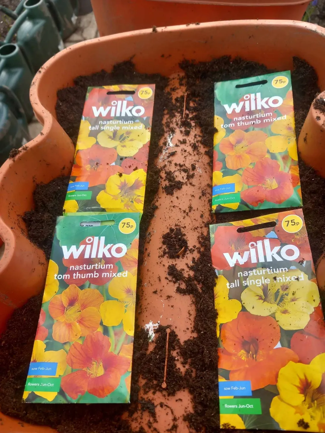 Photo from Jayne's Baby Bank (main page), 11 Mar 2024: Carl's been busy growing some items for our allotment areas!