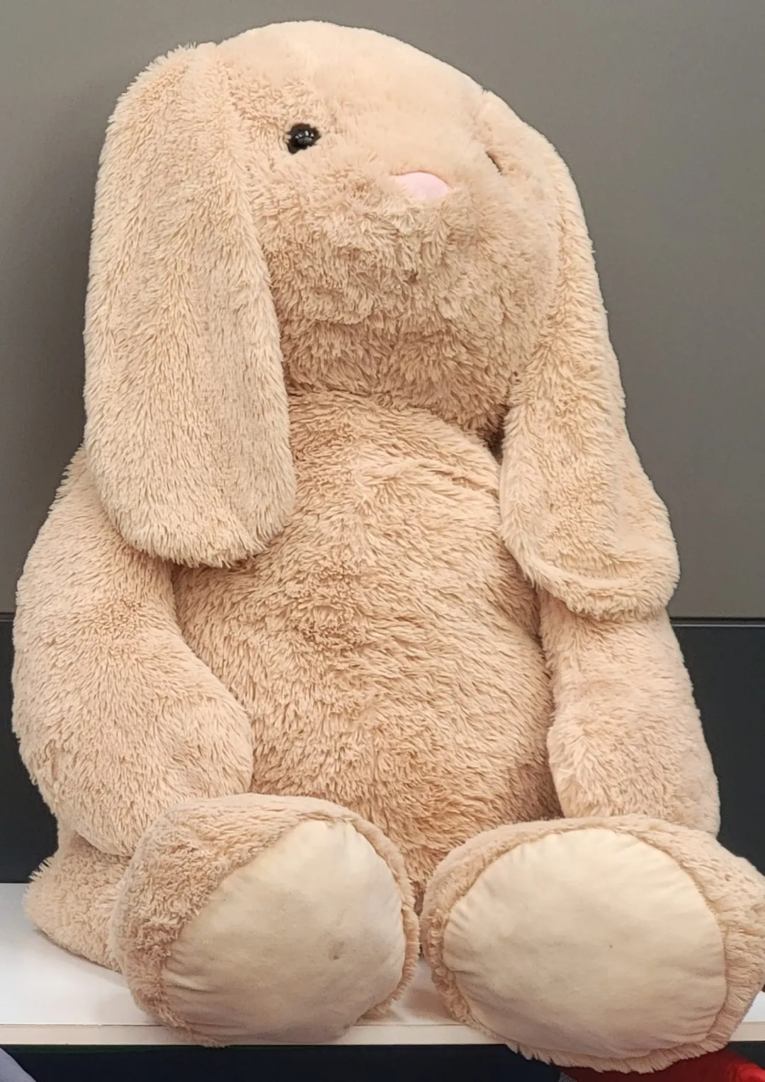 Photo from Jayne's Baby Bank (main page), 17 Jul 2024: Giant bunny free to to the child that guesses the name. Comment below ↘️⬇️↙️