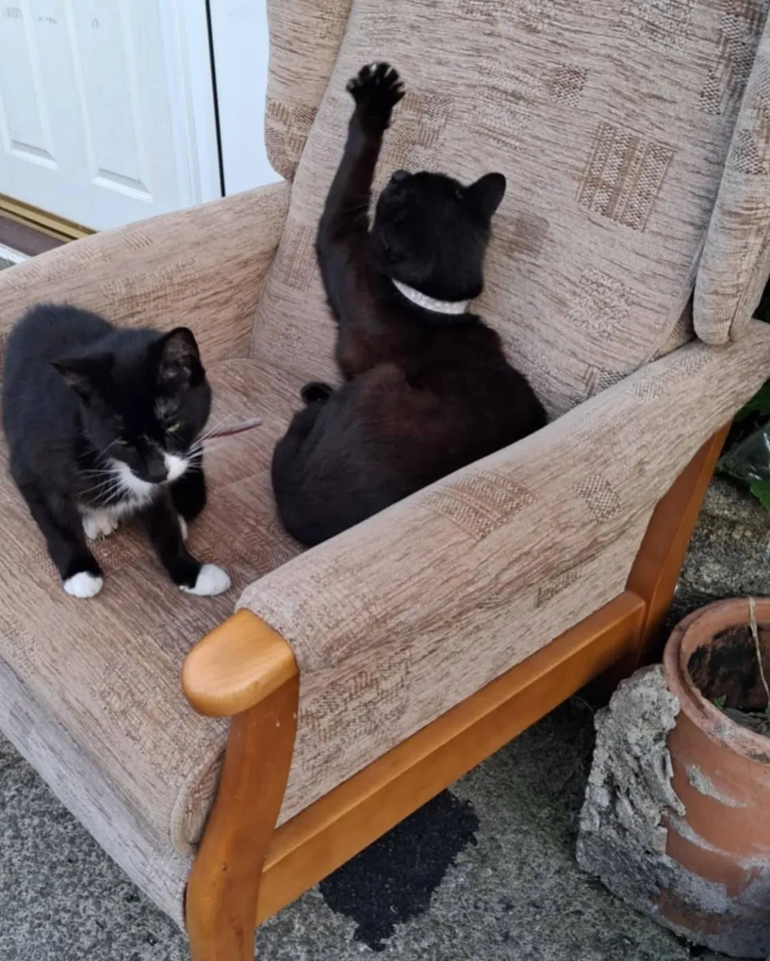 Photo from Jayne's Baby Bank (main page), 10 Aug 2025: The team product testing this week! Yes we take furniture if you can drop off to the SHOPS . No stained, damaged items , nothing bigger than