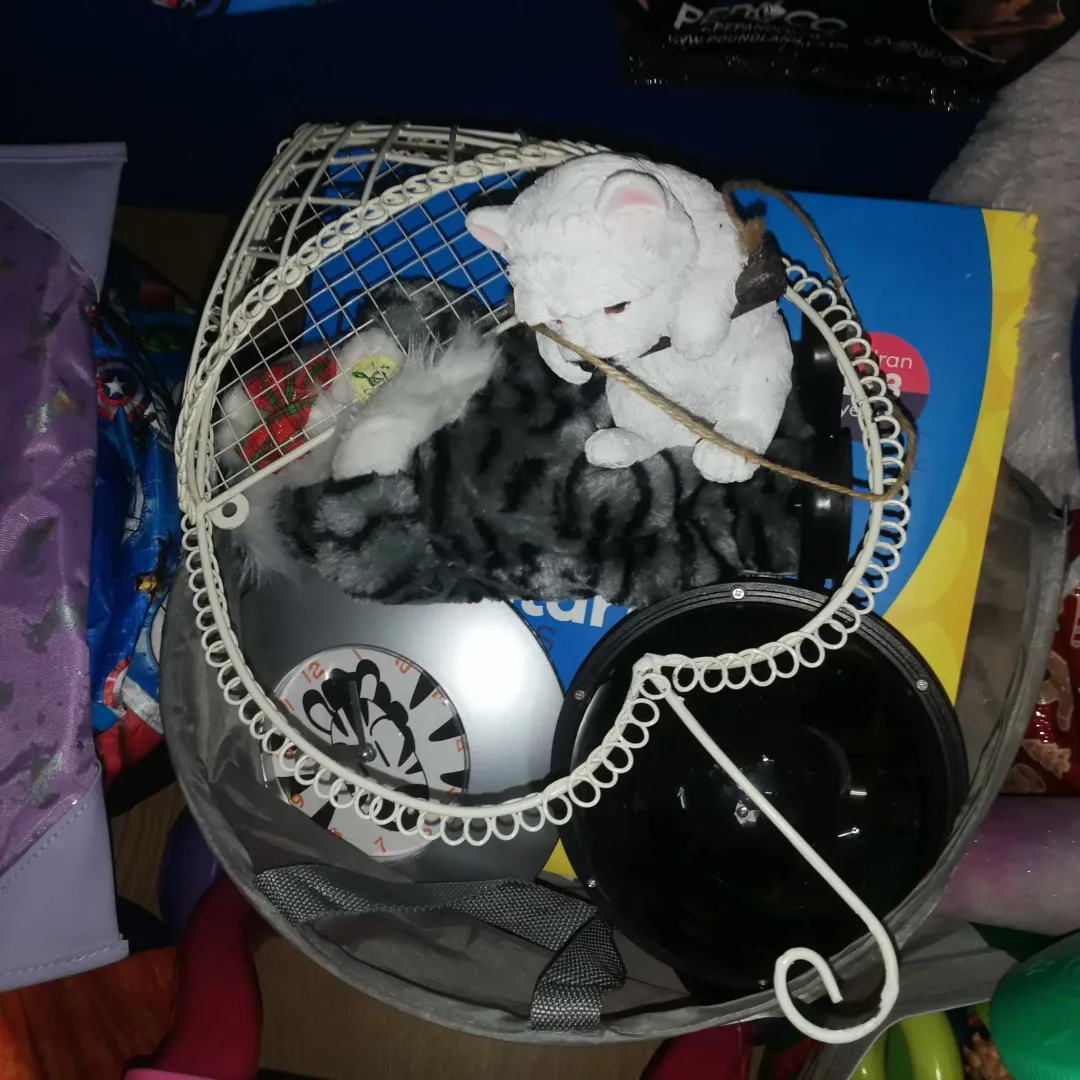 Photo from Jayne's Baby Bank (main page), 26 Mar 2024: Donations today!! Thank you Sammy Arnold for picking up for us and spying the kick stools!