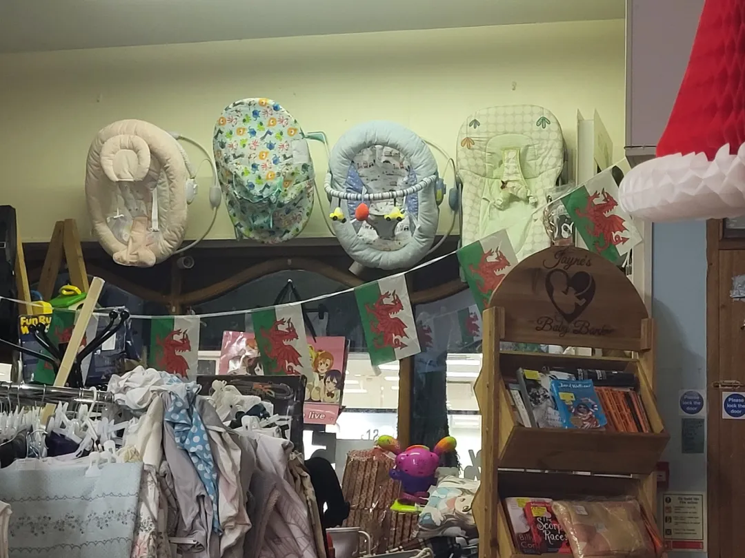 Photo from Jayne's Baby Bank (main page), 29 Jan 2025: Bouncers have been breeding again (and this is just in one room!) Reduced to £5 each please Pontypool phase 1