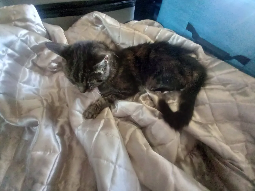 Photo from Jaynesbabybank Registered - cic
