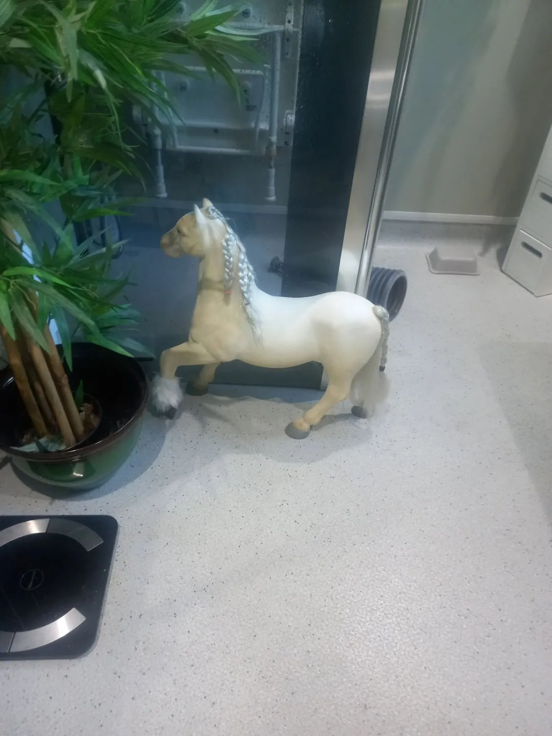 Photo from Jaynesbabybank Registered - cic: I've had a nice afternoon washing my pony in my new wet room . I could do with a wet room in the shop! ;) crack on haters and report me for 