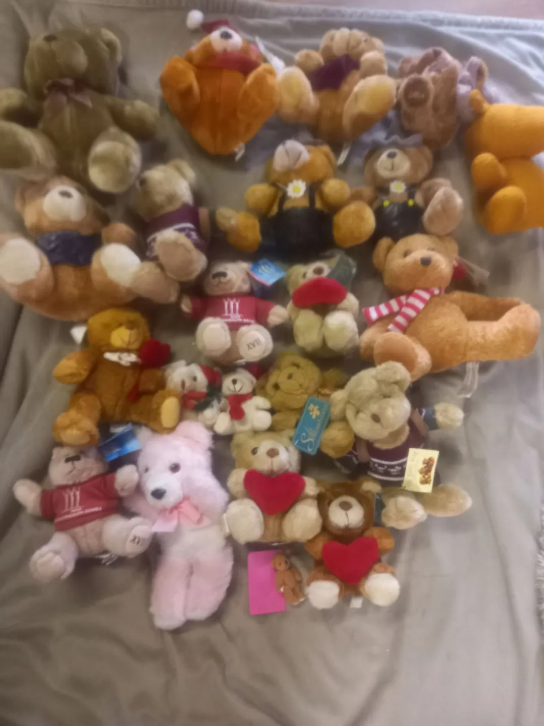 Photo from Jaynesbabybank Registered - cic, 23 Jun 2026: Adopt a bear £1 each please Donated to us from another charity