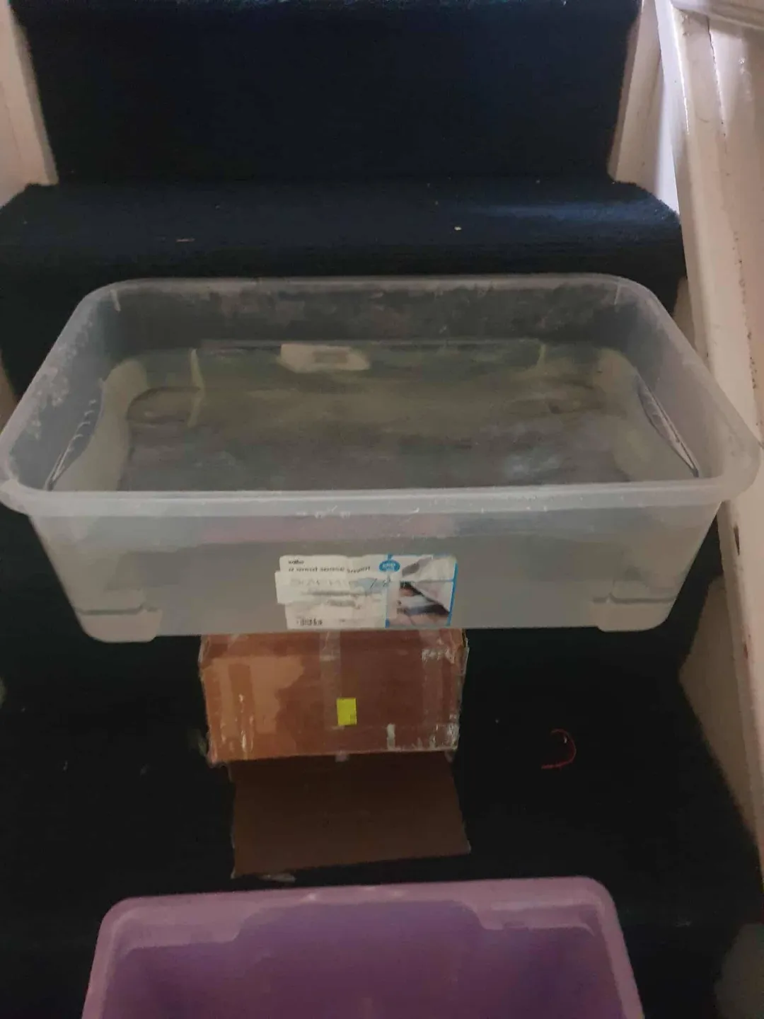 Photo from Jaynesbabybank Registered - cic, 16 Sep 2026