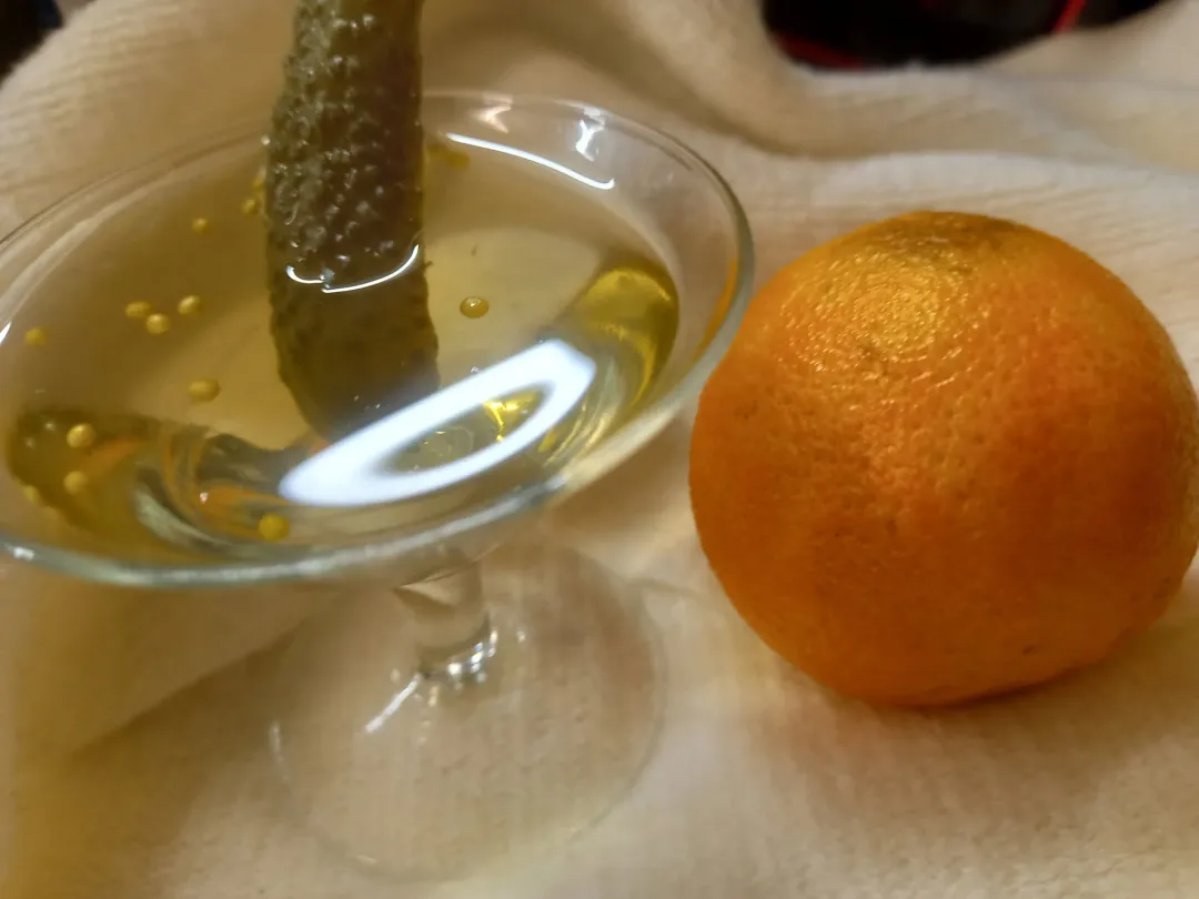 Photo from Jaynesbabybank Registered - cic, 2 Jul 2026: Pickle juice shot for electrolytes in my miniature martini glass. (Just to annoy the haters ). #teamgerkin