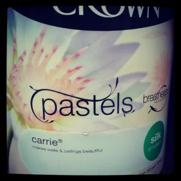 Image from Carrie Anne, 6 Apr 2014: Icing on the cake! .... when your company starts naming paint after you! Baby blue.. my favourite ♥