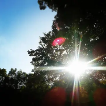 Image from Carrie Anne, 6 Oct 2014: The view from my office today ♥