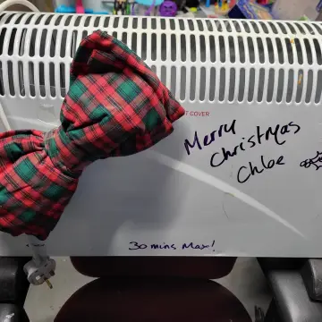 Photo from Jayne's Baby Bank (older photos)