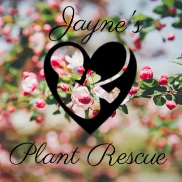 Photo from Jayne's Baby Bank (older photos)