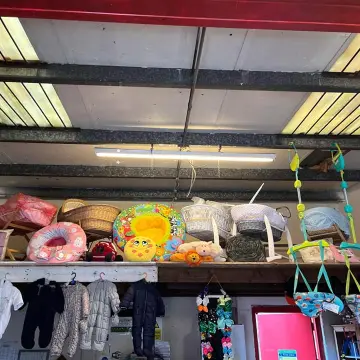 Photo from Jayne's Baby Bank (older photos)