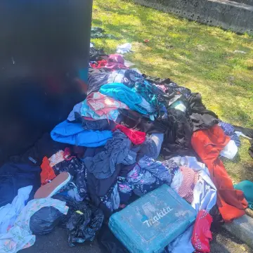 Photo from Jayne's Baby Bank (main page), 20 Apr 2025: More again pulled out