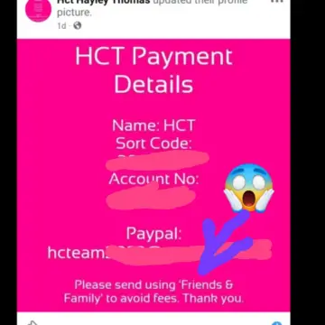Image from Jayne's Baby Bank (Main Historical Profile), 22 Dec 2025: Pointed out to me this morning by someone else looking into the fraudulent activities of Hayley Thomas Extraordinaire. Requesting people pay