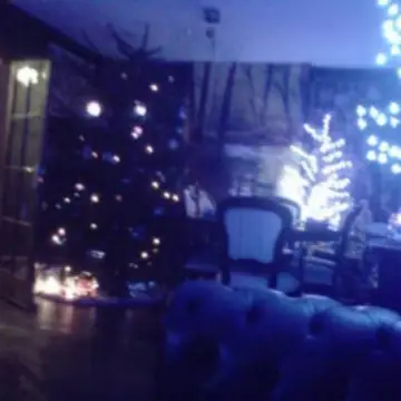 Image from Jayne's Baby Bank (Main Historical Profile), 16 Feb 2026: Debunking another baby bank myth! Well maybe not I will admit to hoarding Christmas trees! 🤣 this is my house of hoarding horrors sorry abou