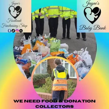 Image from Jayne's Baby Bank (main page), 31 Aug 2024