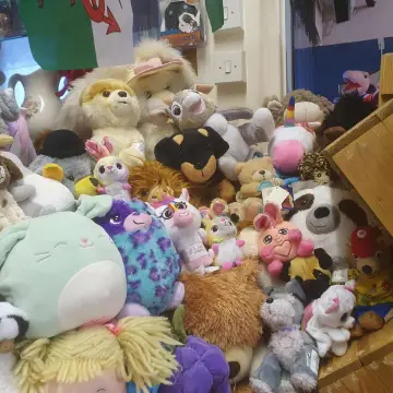 Image from Jayne's Baby Bank (main page), 11 Dec 2025